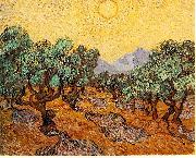 Vincent Van Gogh Olive Trees with Yellow Sky and Sun oil painting on canvas